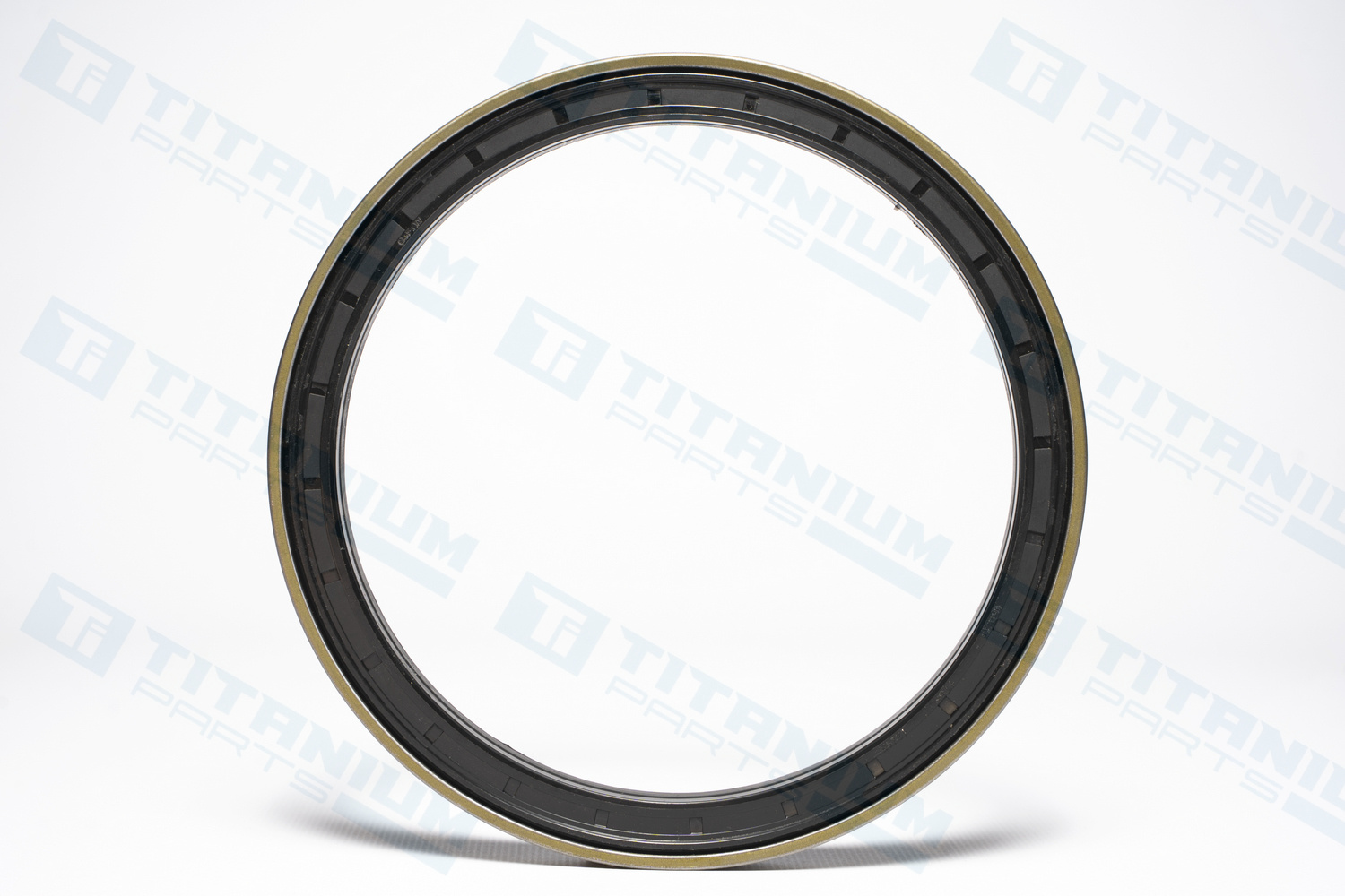 ALT T408726 САЛЬНИК