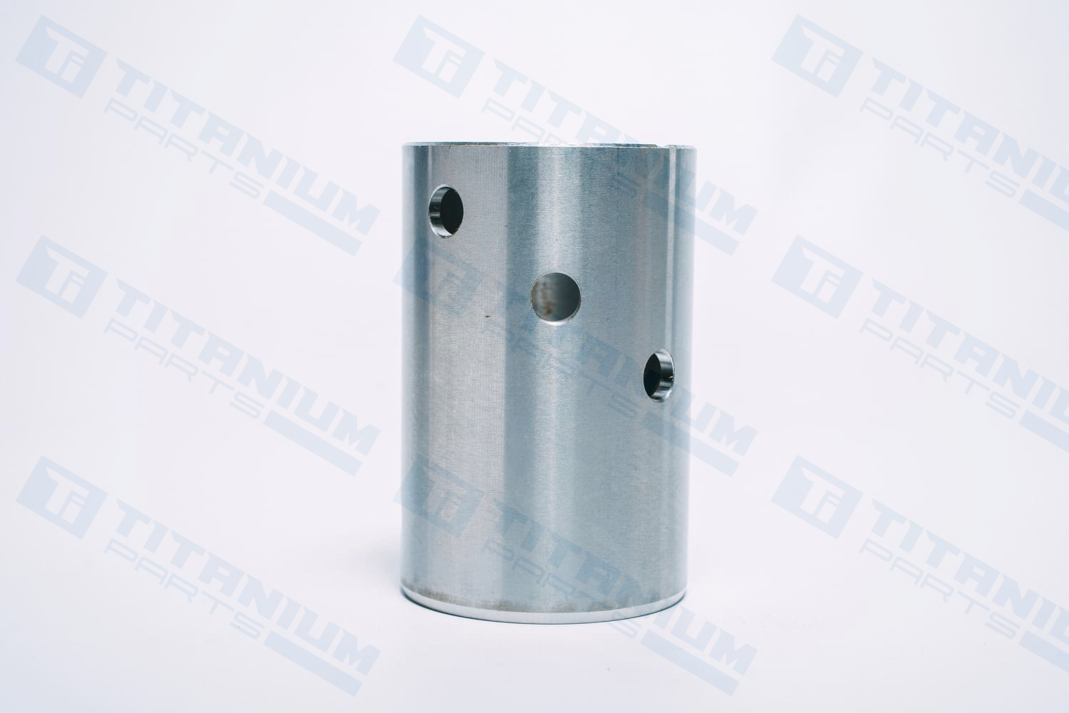 ALT R108576 ГИЛЬЗА