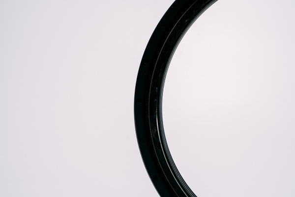 AL159594 САЛЬНИК