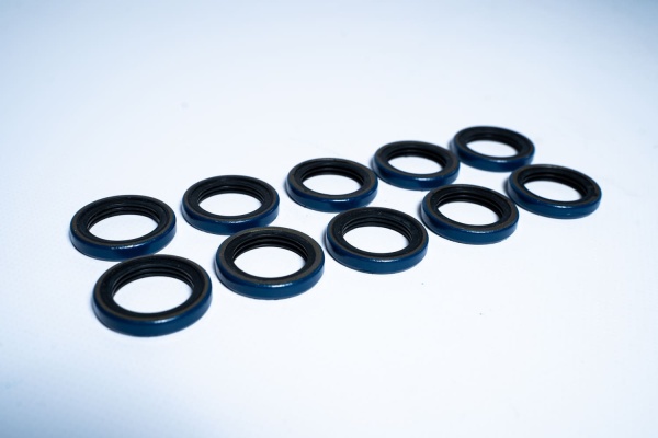 A85727 САЛЬНИК