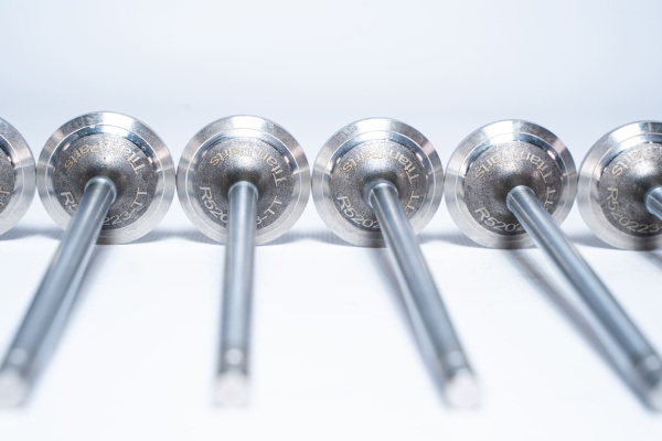 R520223 ВПУСКНОЙ КЛАПАН