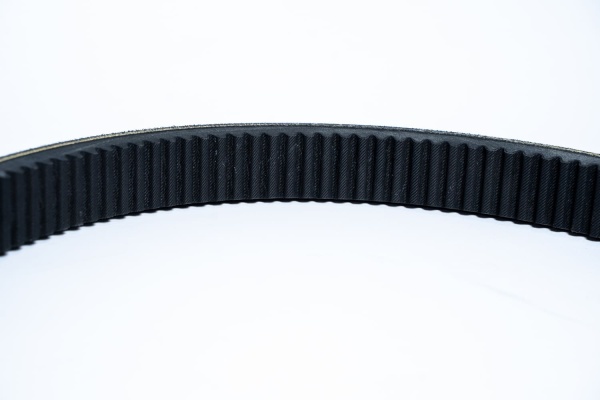 R239551 КЛИНОВОЙ  РЕМЕНЬ