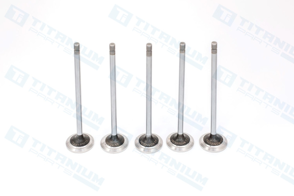 ALT R520224 ВЫХЛОПНОЙ КЛАПАН