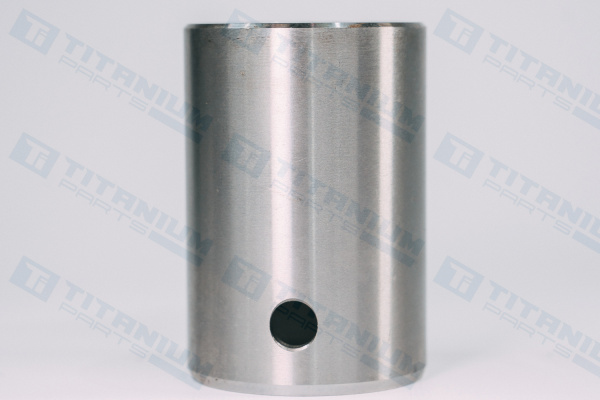 ALT R108582 ГИЛЬЗА