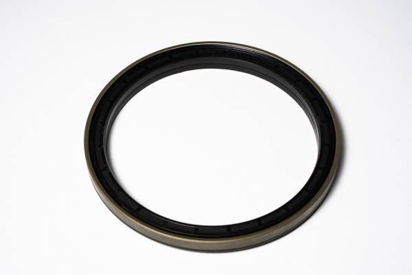 T408726 САЛЬНИК