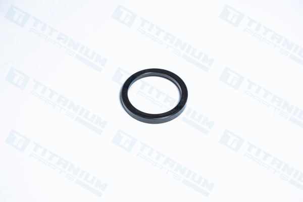 ALT R171778 УПОРНАЯ  ШАЙБА