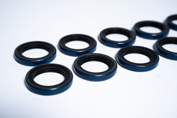 A85727 САЛЬНИК