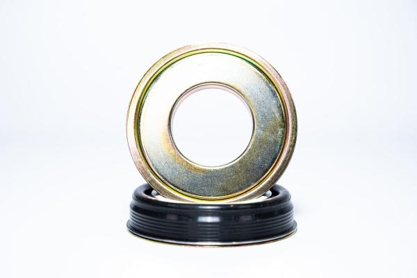 RE588241 САЛЬНИК