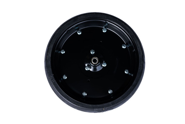 AA66599 КОЛЕСИКО