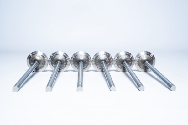 R520223 ВПУСКНОЙ КЛАПАН